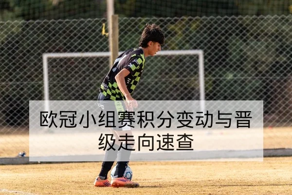 中超本赛季主客场积分对比与保级概率查询
